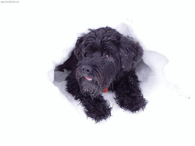 Foto: �udla - zima 2005