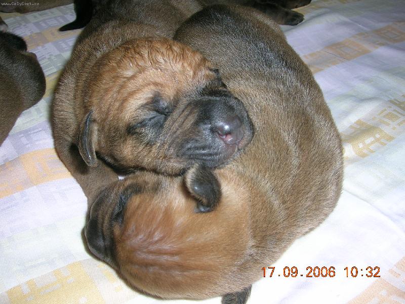 Foto: Tosa Centrum-�t��ata