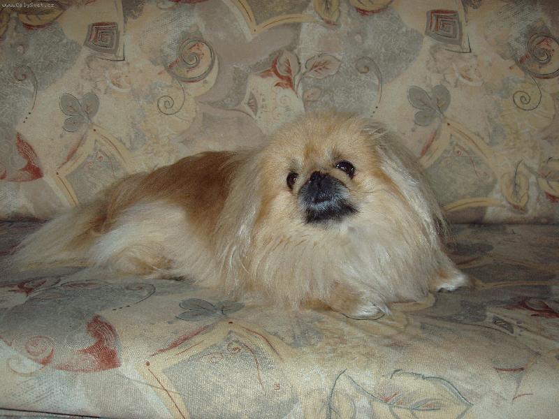 Foto: Mont��ek-N� Mont�k pohodln� odpo��v�