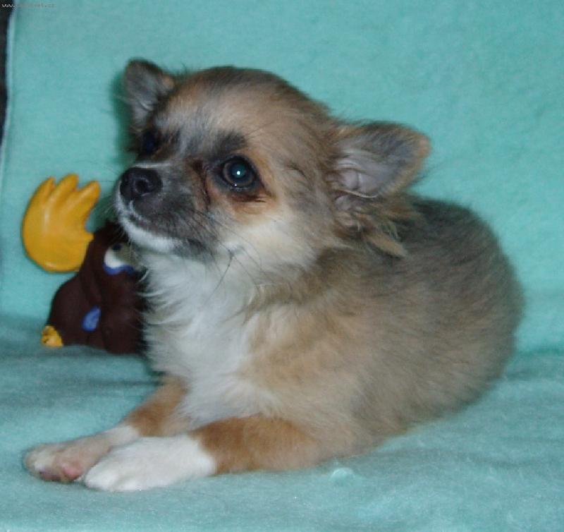 Foto: Jezabel Talov�n-3 m�s�ce