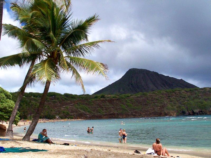 Foto: Kokosov� palmy-Hanauma Bay, Havaj, USA