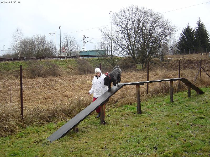 Foto: Kerry - na cvi��ku-Na cvi��ku - Kerry