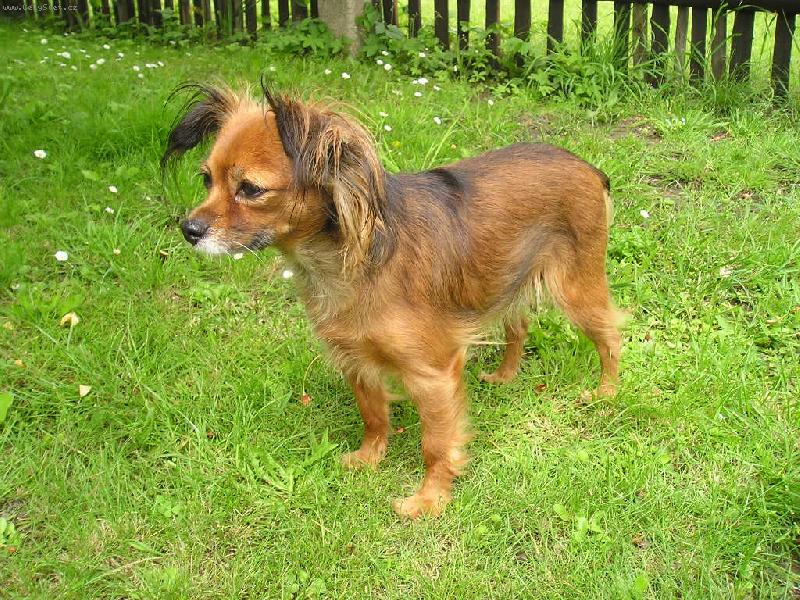 Foto: Axana-dnes ji� \"babka\" 10 let�