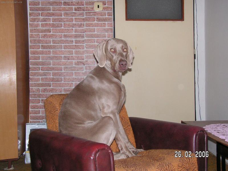 Foto: Dolly-Odtud m� nikdo nedostane