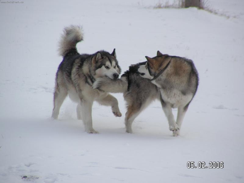Foto: Z Kov��sk� tvrze-A��� To bol�!!!