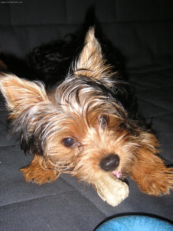 Foto: S kosti�kou-Maxime