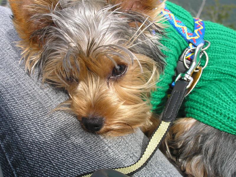 Foto: Na lanovce-Na lanovce