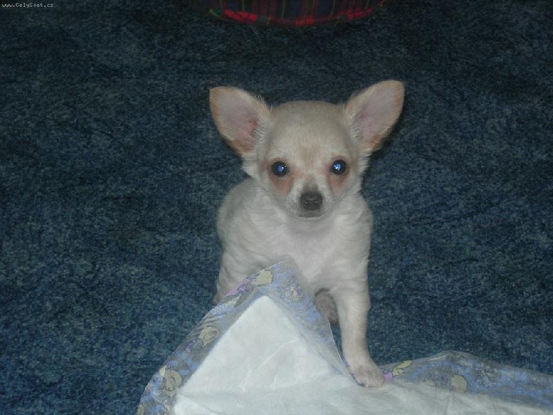 Foto: J� to nebyla.-Fakt ne.