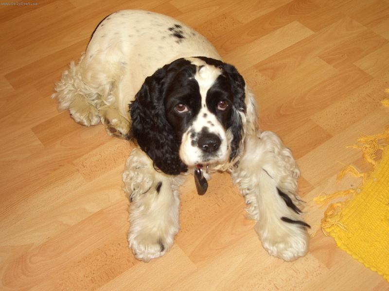 Foto: odpo��v�m:-)