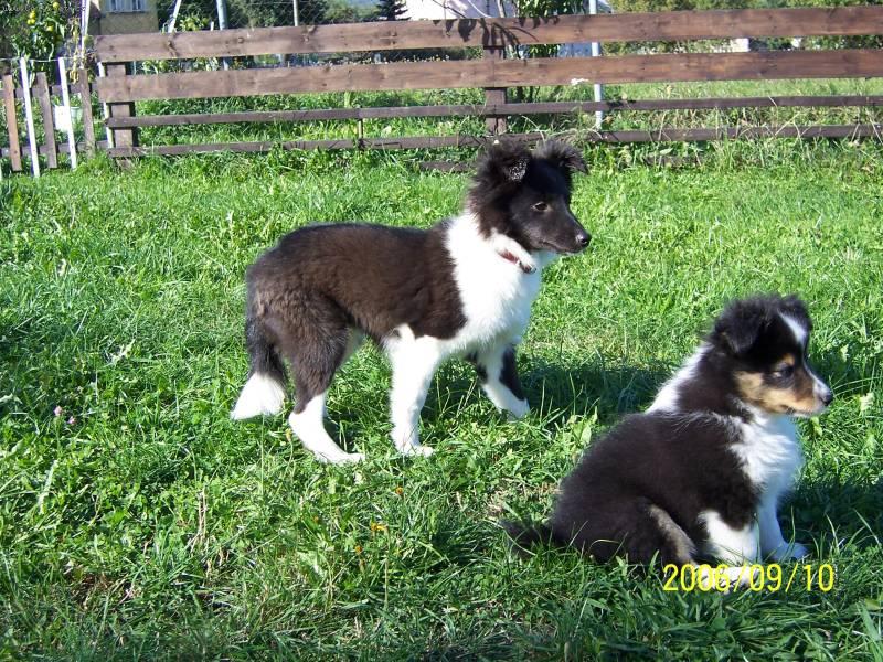 Foto: Eso Mandlok-Tak co tam vid� zaj�mav�ho