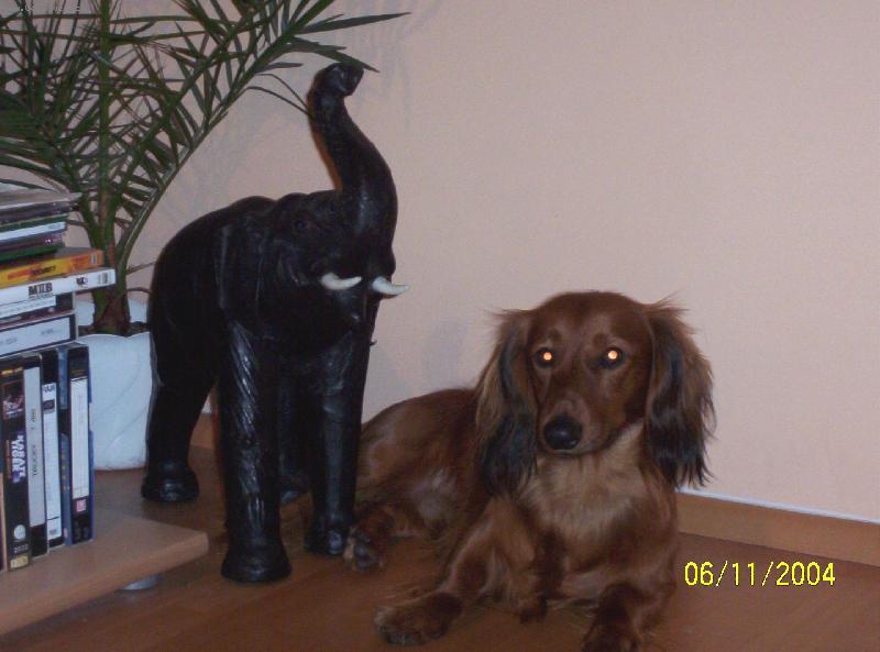 Foto: Max��ek-J� a m�j kamar�d