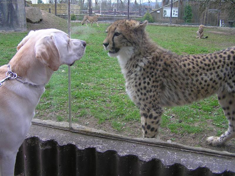 Foto: v ZOO-N� Rickou�ek