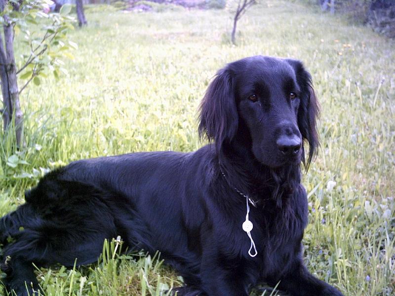 Foto: Andy v zahr.-m�j FCR