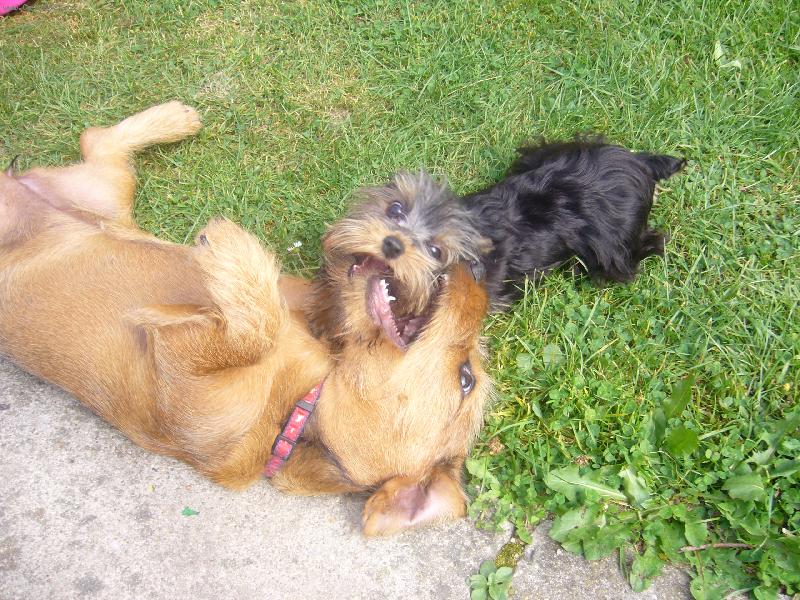 Foto: pranice...kdo asi vyhraje???hmm urcite ja!!:-)