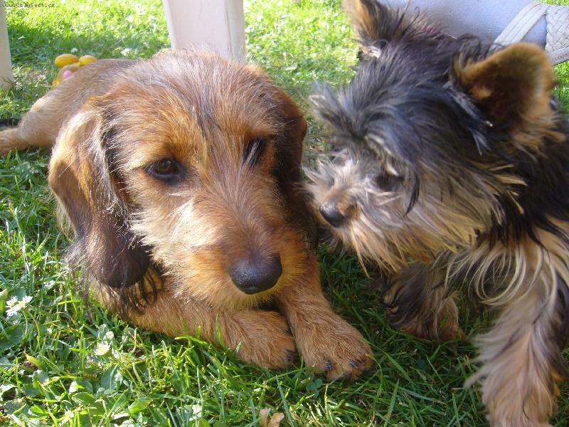 Foto: a zase sme kamaradky!