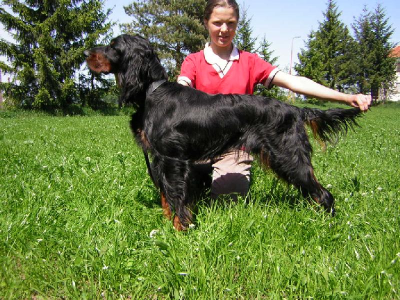 Foto: FREA z �ele�ky-� pozor,t�mhle n�co je....