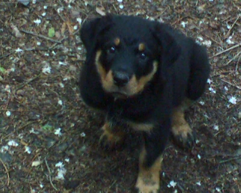 Foto: Butk�sek-To jsem byl je�t� malinkej medv�dek...