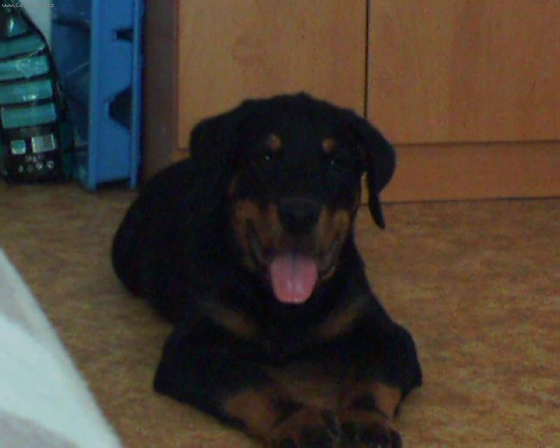 Foto: Butk�sek-�sm�v