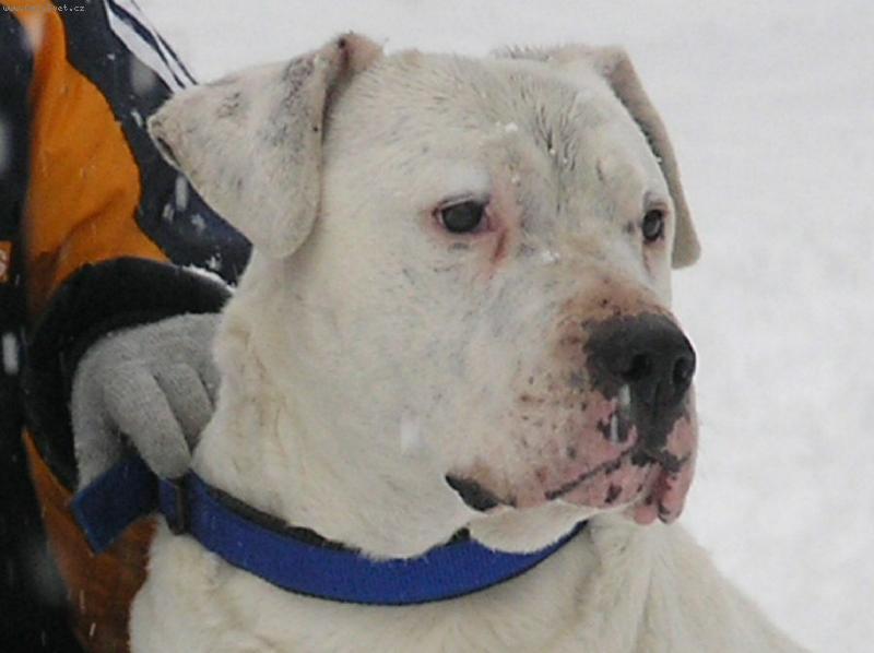 Foto: AD CHS Blansky les-Cirek od Reky Doubravky 11let