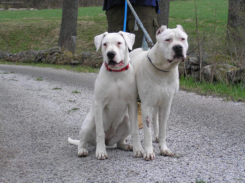 Foto: Jacinta, Arina Blansky les-CHS Blansky les