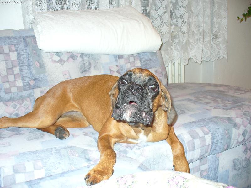 Foto: Barbra-Bonnie-Poslouchejte m�!!