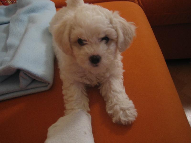 Foto: sle�na Keysi