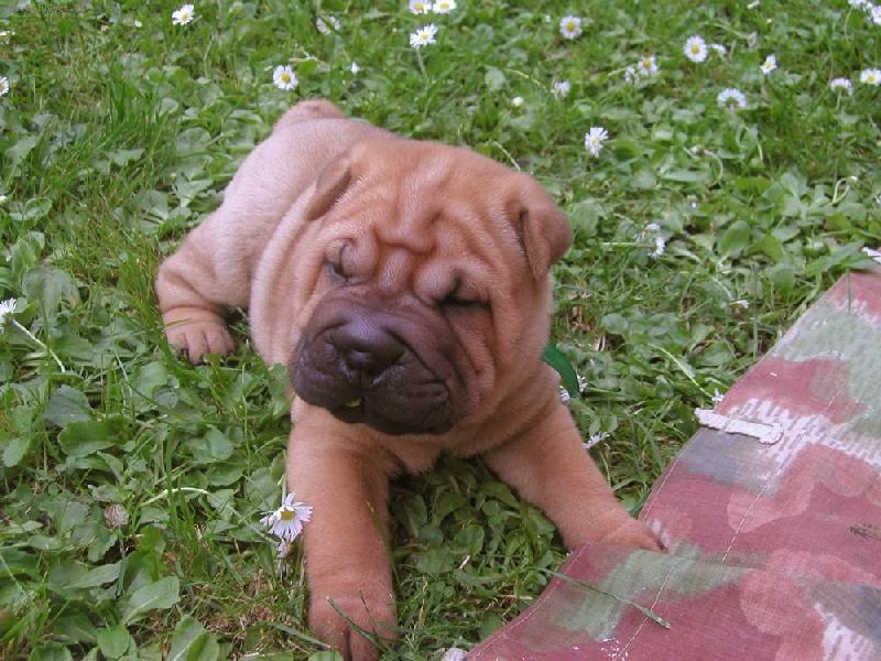 Foto: �t�n� Berry - 5.t�den