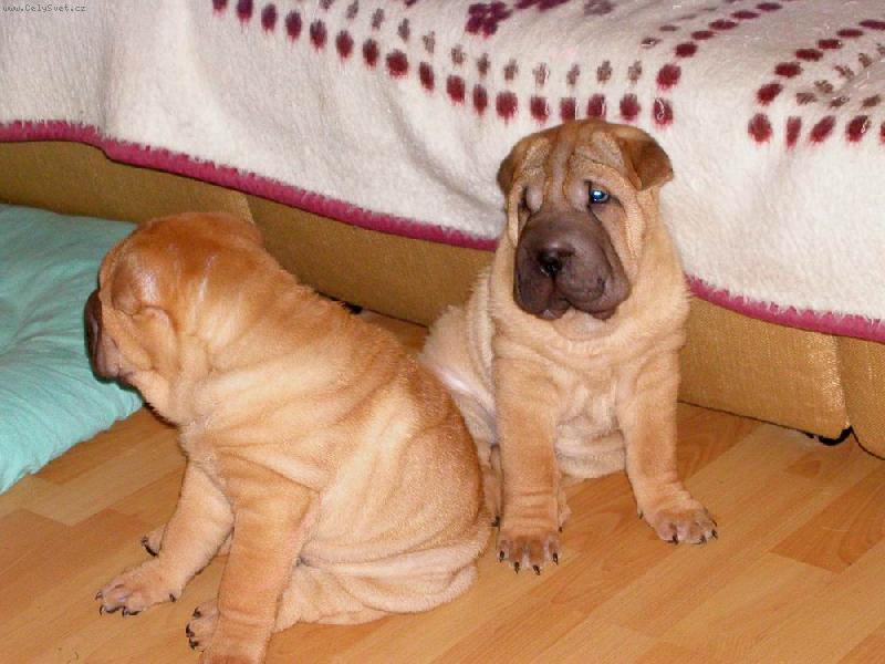 Foto: 8.t�den - za chv�li p�jdeme do sv�ta