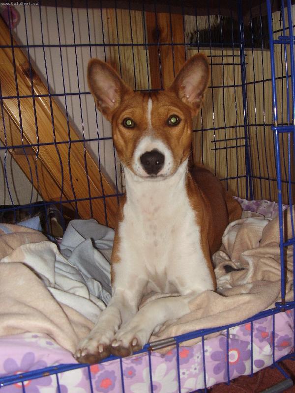 Foto: Aimee Ferangi-Aimee Ferangi