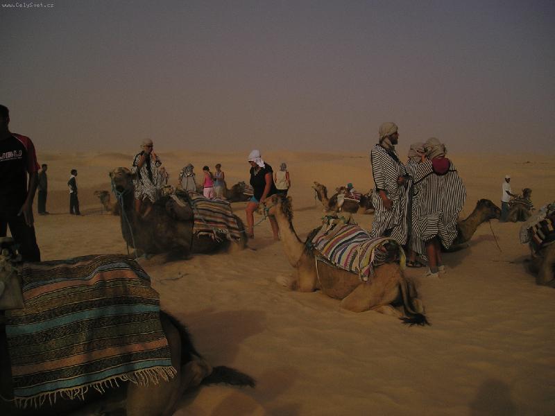 Foto: Sahara