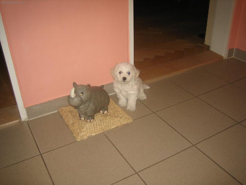 Foto: sle�na Keysi