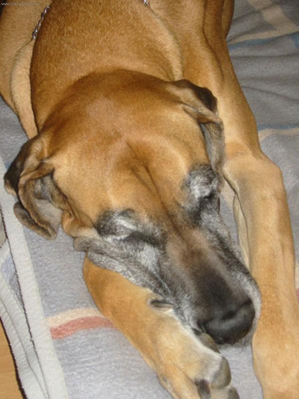 Foto: Vikinka-takhle se u n�s spink�