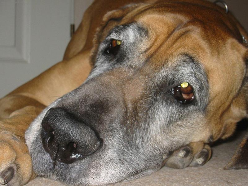 Foto: Vikinka-prost� na�e Vikinka ...