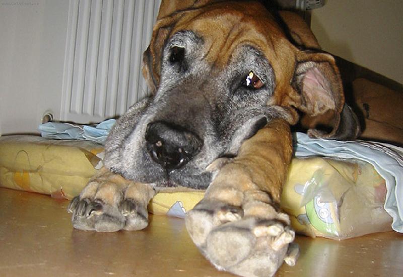 Foto: Vikinka-tro�ku jin� pohled na sv�t ...