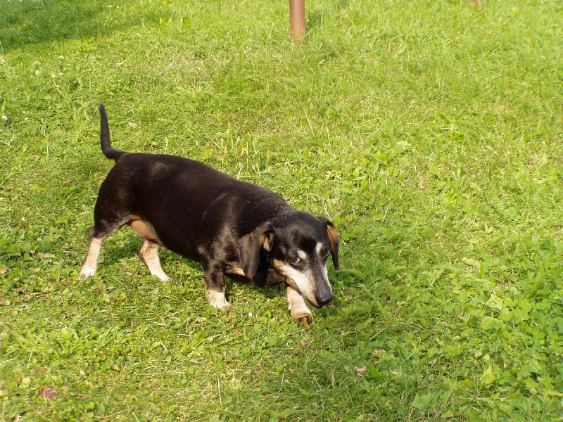 Foto: na�e Betynka