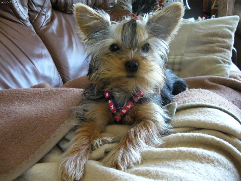 Foto: Ennynka-kuk�ek :-)