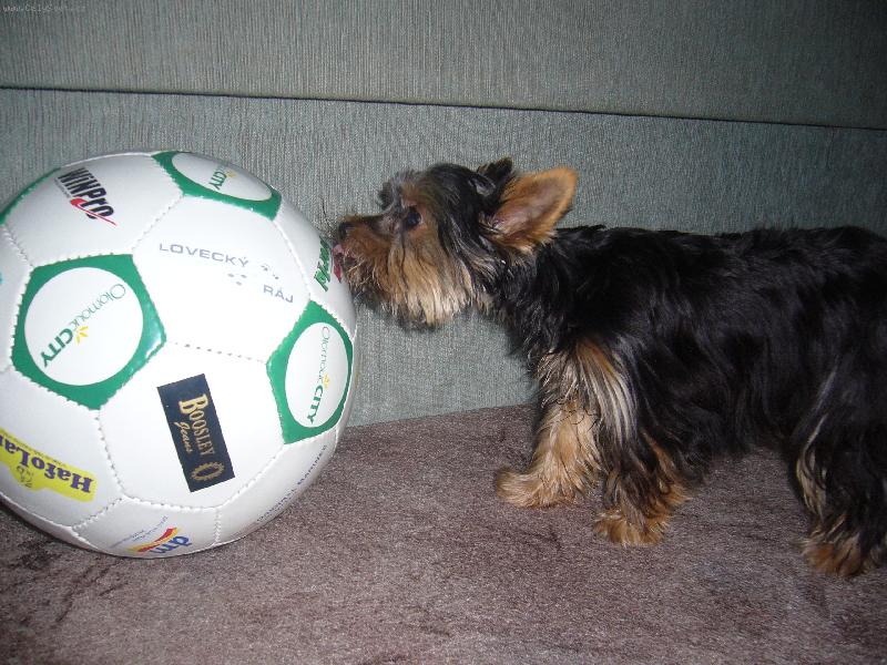 Foto: n� fotbalista :-)