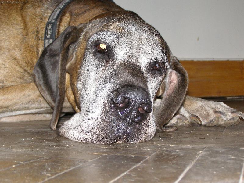 Foto: Caky u Rychl�ho ��bla