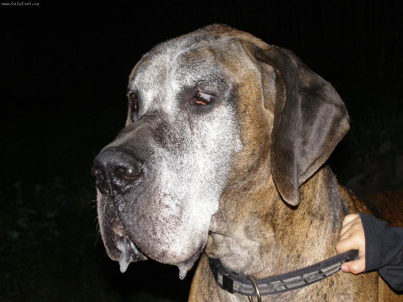 Foto: Caky u Rychl�ho ��bla