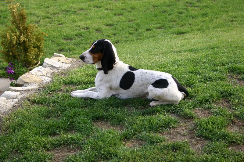 Foto: Enrico Lady Barnett�s