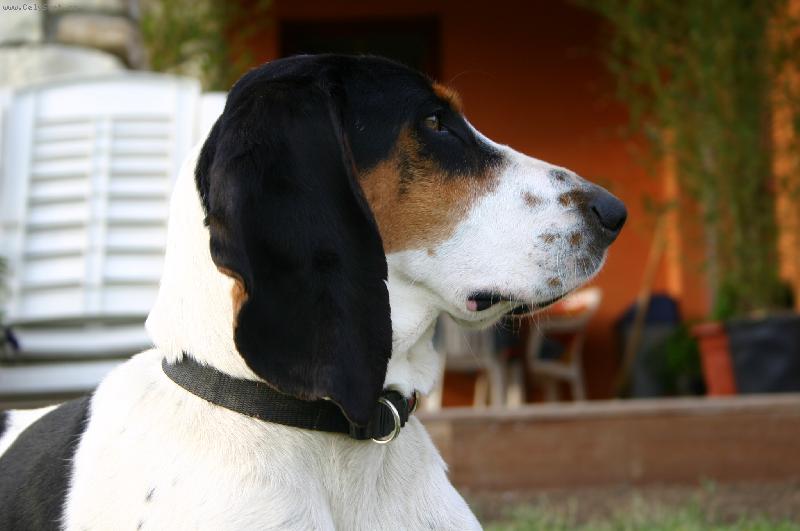 Foto: Enrico Lady Barnett�s