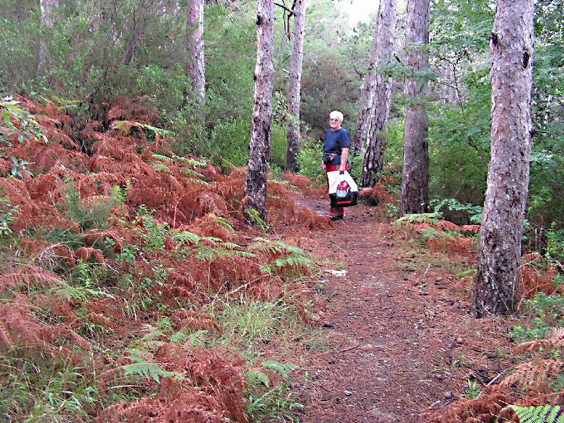 Foto: kouzeln� les-foceno dig.fot.dimage 10