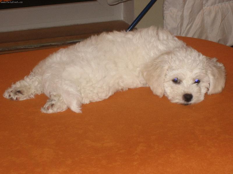 Foto: n� mil��ek