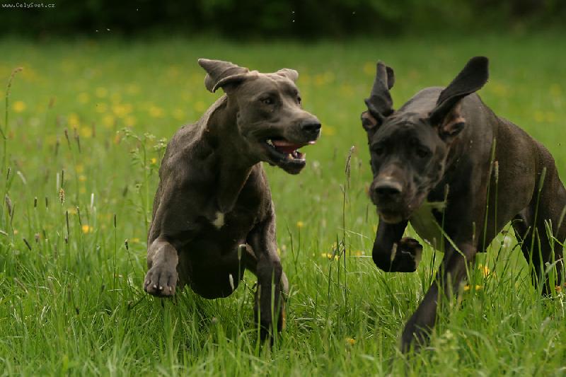 Foto: Aneta a Ennia-J� tam budu prvn�!