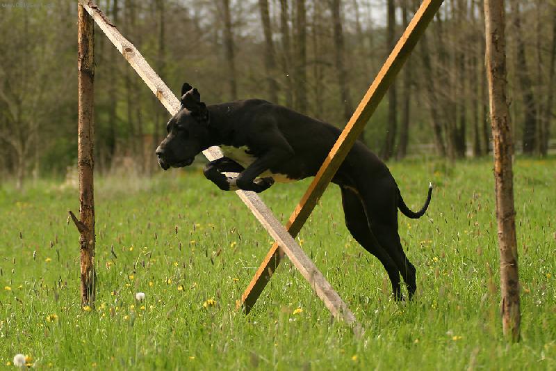 Foto: Aneta a Ennia-tady sk��ou moje k�mo�ky kobylky, ale to j� um�m taky