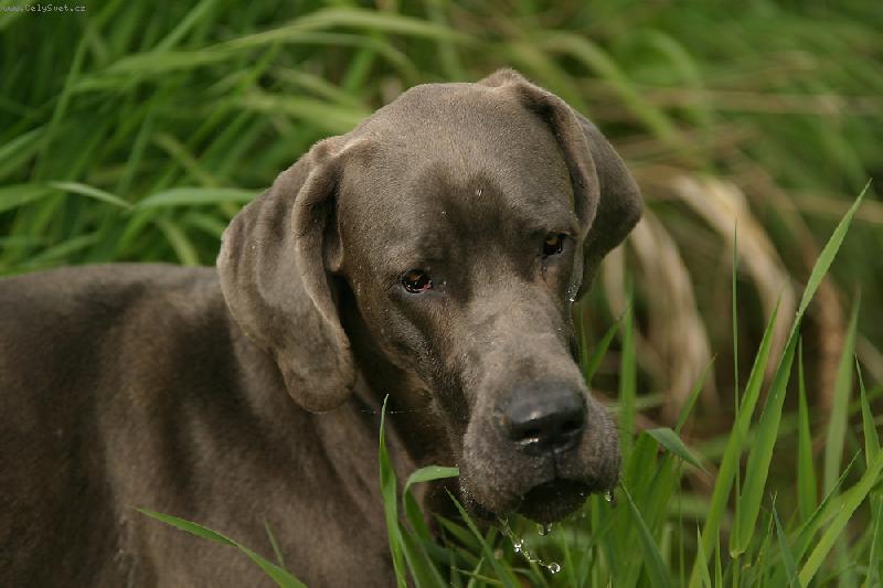 Foto: Ennia-trochu osv�en� neu�kod�