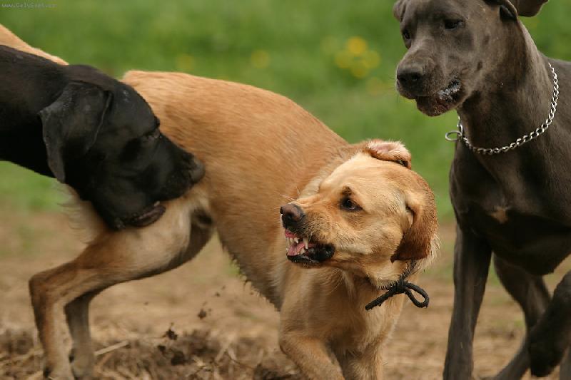 Foto: Aneta a Ennia-Jsme na tebe dv�!