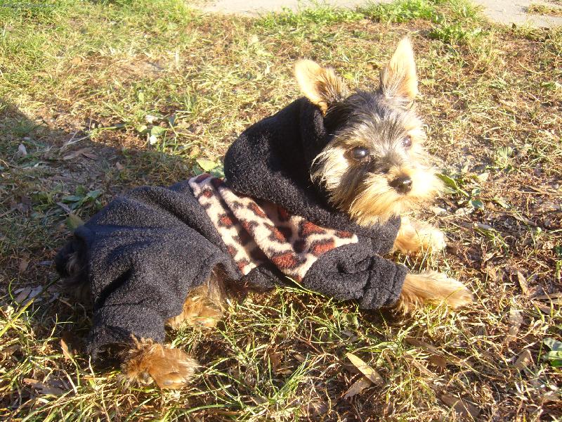 Foto: podzimn� oble�ek...slu�� mi to �e?:-)