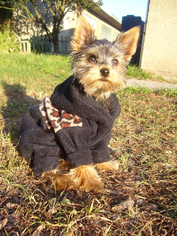 Foto: a je�t� jednou v sed�....