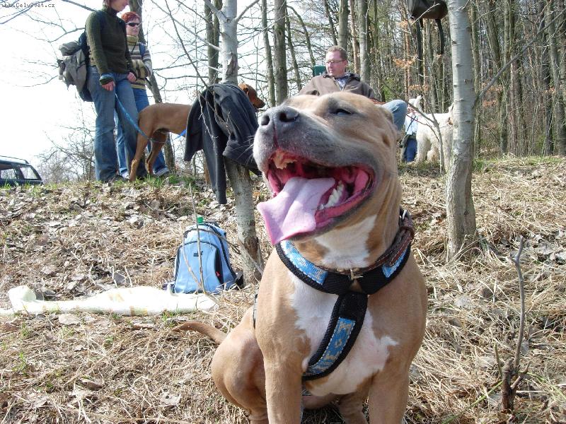 Foto: Daydream Fantasy Amazonka-Day a jej� �sm�v...